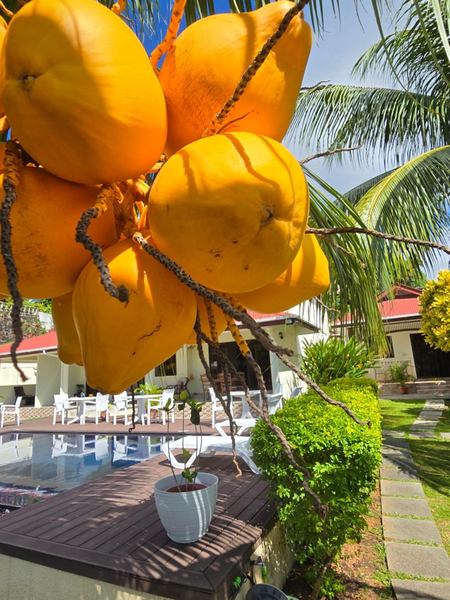 Emma'S Guest House And Self-Catering Au Cap Екстер'єр фото